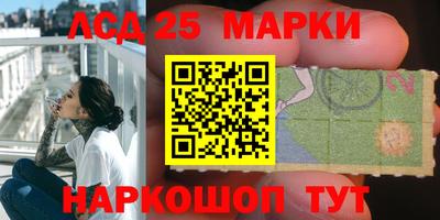 мяу мяу мука Гатчина
