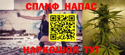 мяу мяу мука Гатчина