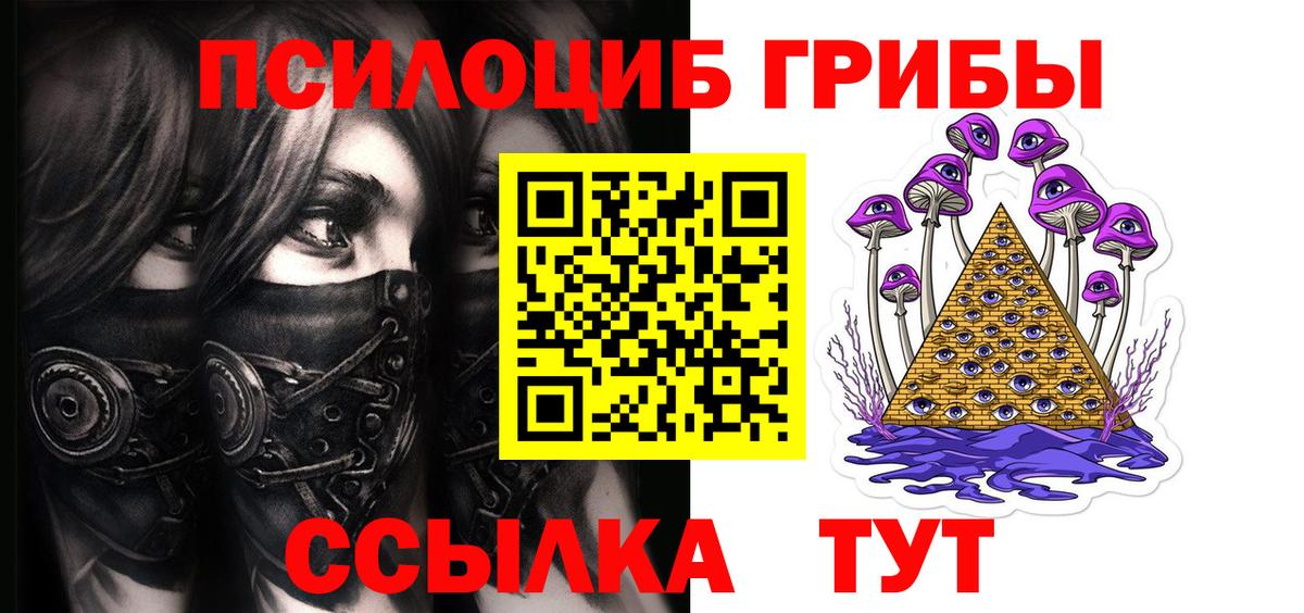 Галлюциногенные грибы Psilocybe  Вход с VPN  Воронеж 