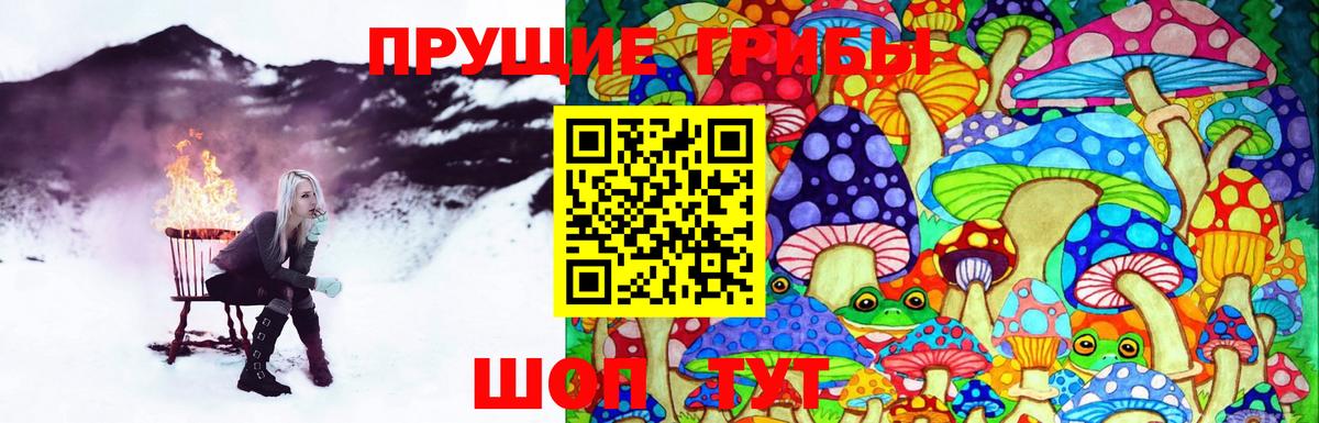 Галлюциногенные грибы мицелий Воронеж